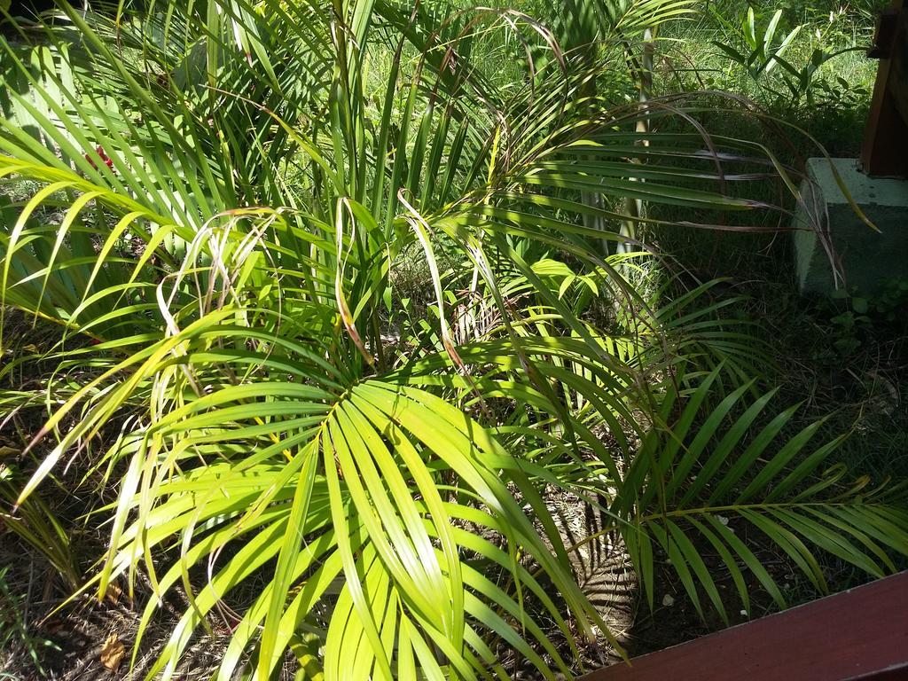 Kalinka Inn Gili Meno Exteriér fotografie